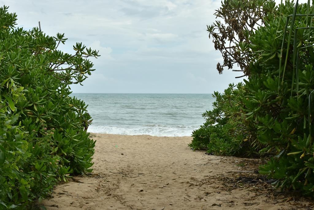 King'S Elephant Cabanas & Restaurant Tangalle Exterior photo
