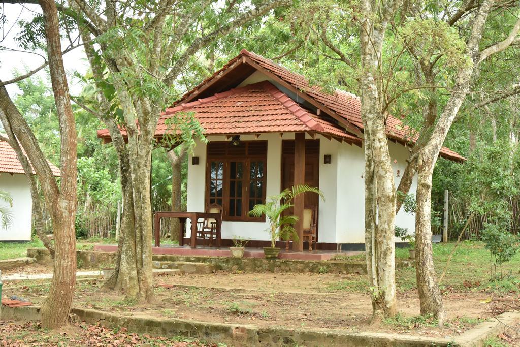 King'S Elephant Cabanas & Restaurant Tangalle Exterior photo